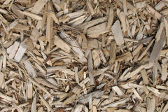 biomass boilers Stoneleigh