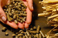free Stoneleigh biomass boiler quotes